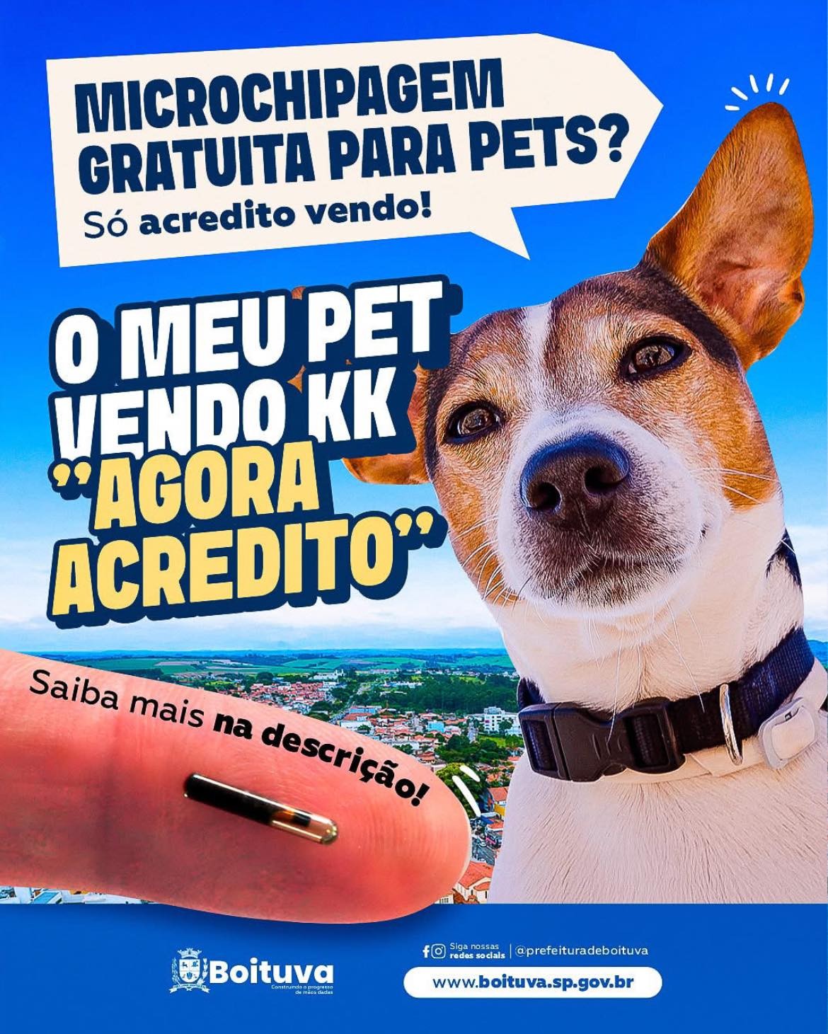1756042075275-606